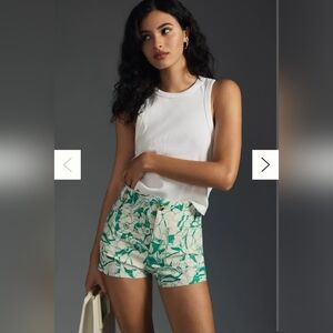 Anthropologie The Colette Shorts by Maeve size 27. Fun green and white pattern!